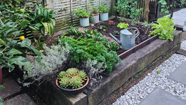 The right plant for the right place