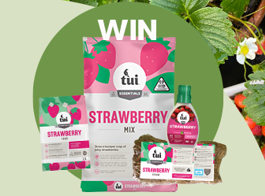 Win a strawberry planting pack
