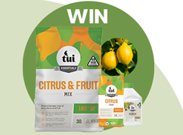Win a citrus planting pack