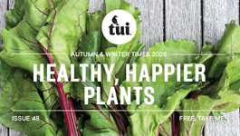 Tui Times Autumn/Winter 2026