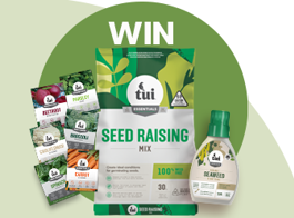 Win a seeds pack
