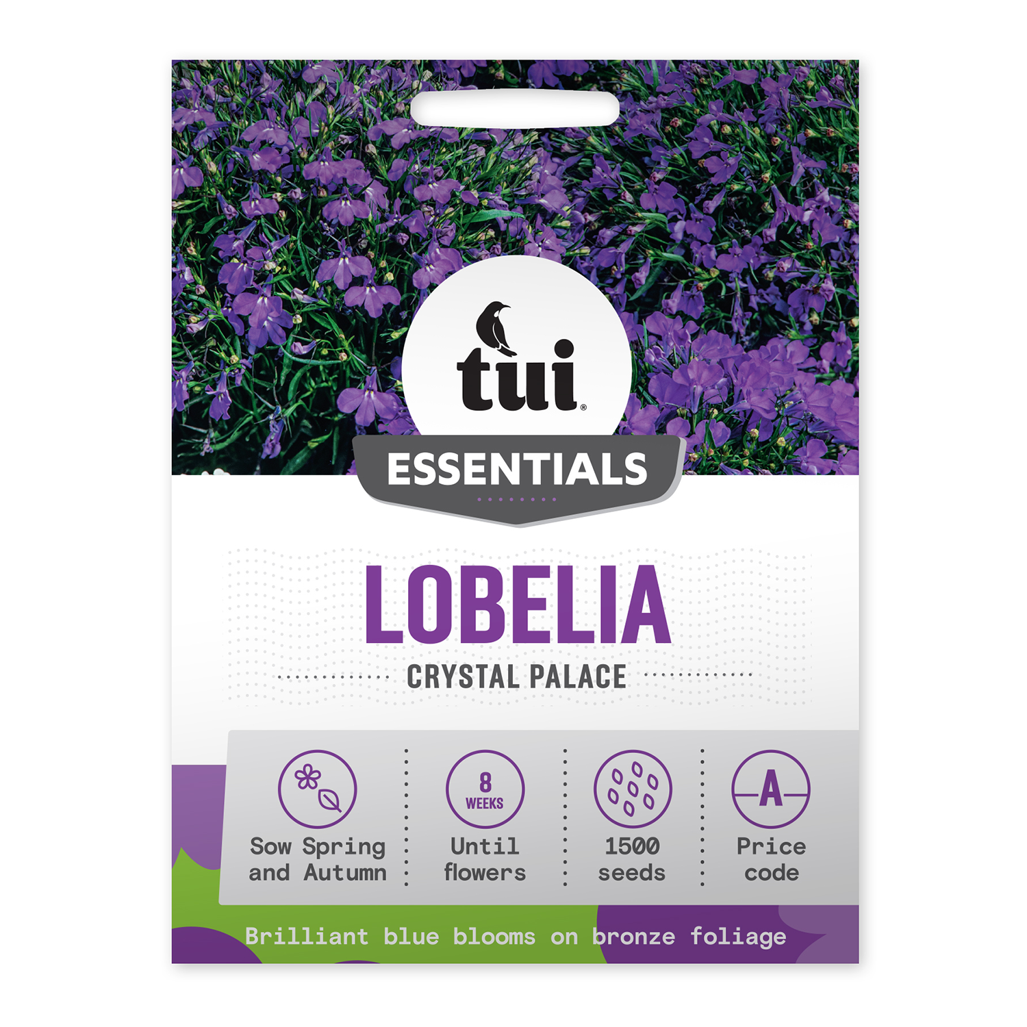 Lobelia - Crystal Palace