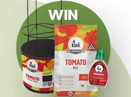 Win a tomato planting pack 
