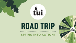 Spring into Action Road Trip